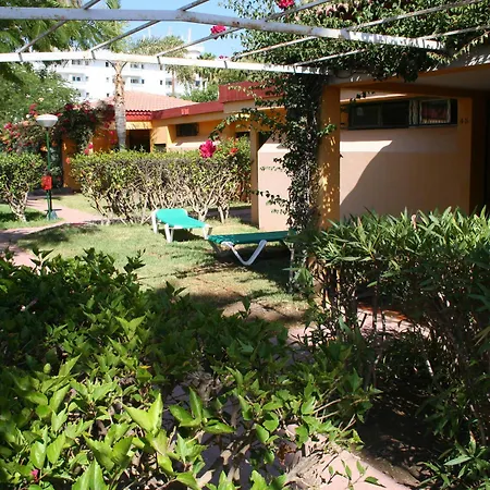 Artemisa * プラヤ・デル・イングレス